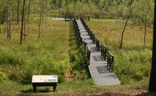 16_Pėsčiųjų pažintinis takas Bijotų-Širvinto miškai (1).jpg